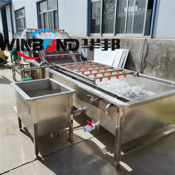 全自動蔬菜清洗機 水果清洗設備 凈菜加工流水線