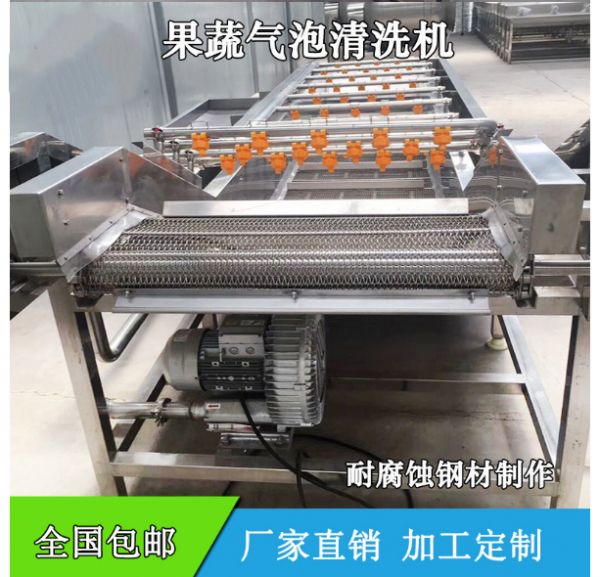 葉菜清洗機 凈菜加工蔬菜清洗機 氣泡洗魚洗肉機